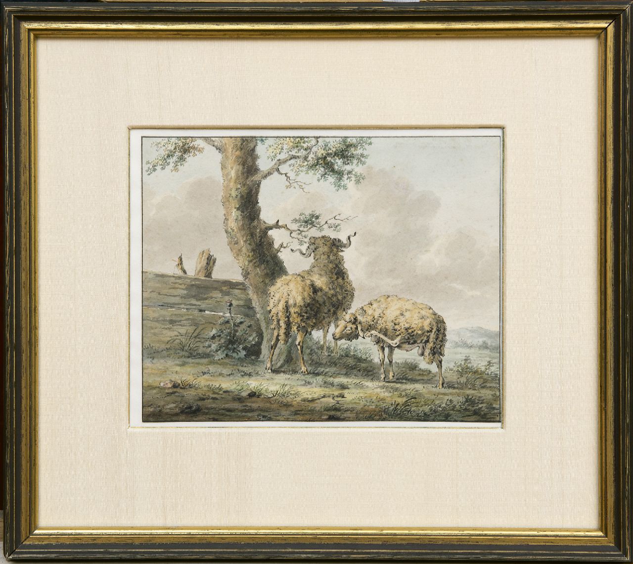 Knoll F.C.  | Franciscus Cornelis Knoll, Two rams, pencil and watercolour on paper 16.0 x 20.0 cm