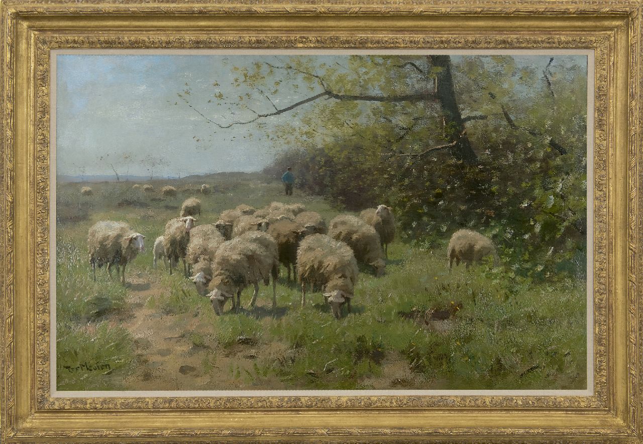 Meulen F.P. ter | François Pieter ter Meulen, Grazing sheep in a sunny landscape, oil on canvas 67.5 x 104.7 cm, signed l.l.