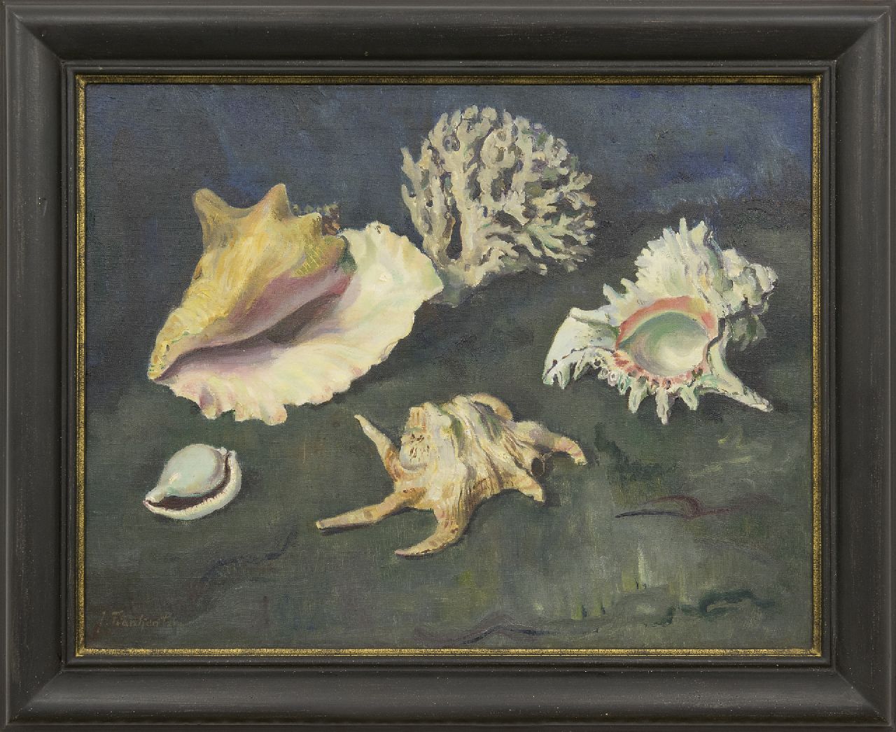 Franken J.P.J.  | Joannes Petrus Josephus 'Jan' Franken, Shells and coral, oil on canvas 50.2 x 65.2 cm, signed l.l.