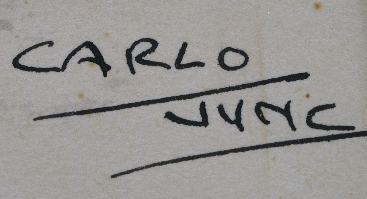 Carlo Jung signatures The unexpected wave