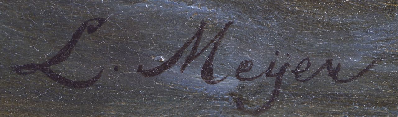 Louis Meijer signatures Vessels in open sea at sunset