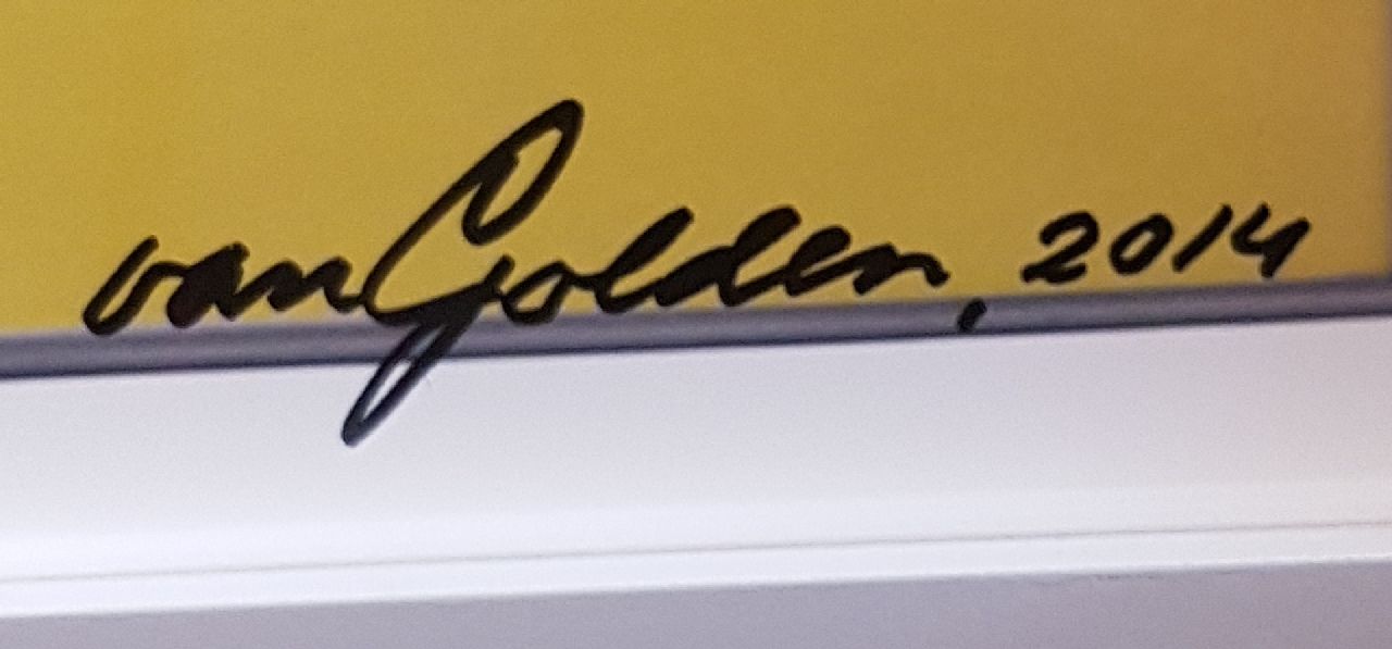 Daan van Golden signatures Yellow Reflection