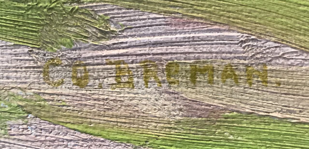 Co Breman signatures Cattle in a meadow (along the river IJssel)