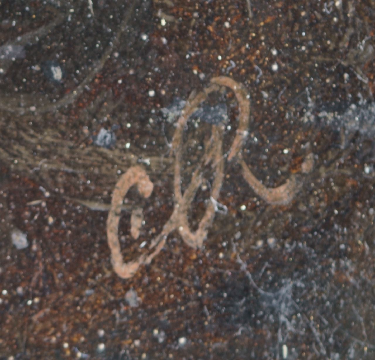 Charles Rochussen signatures In the ruins