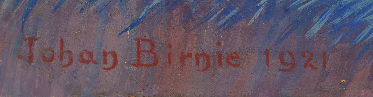 Johan Birnie signatures Bulb fields