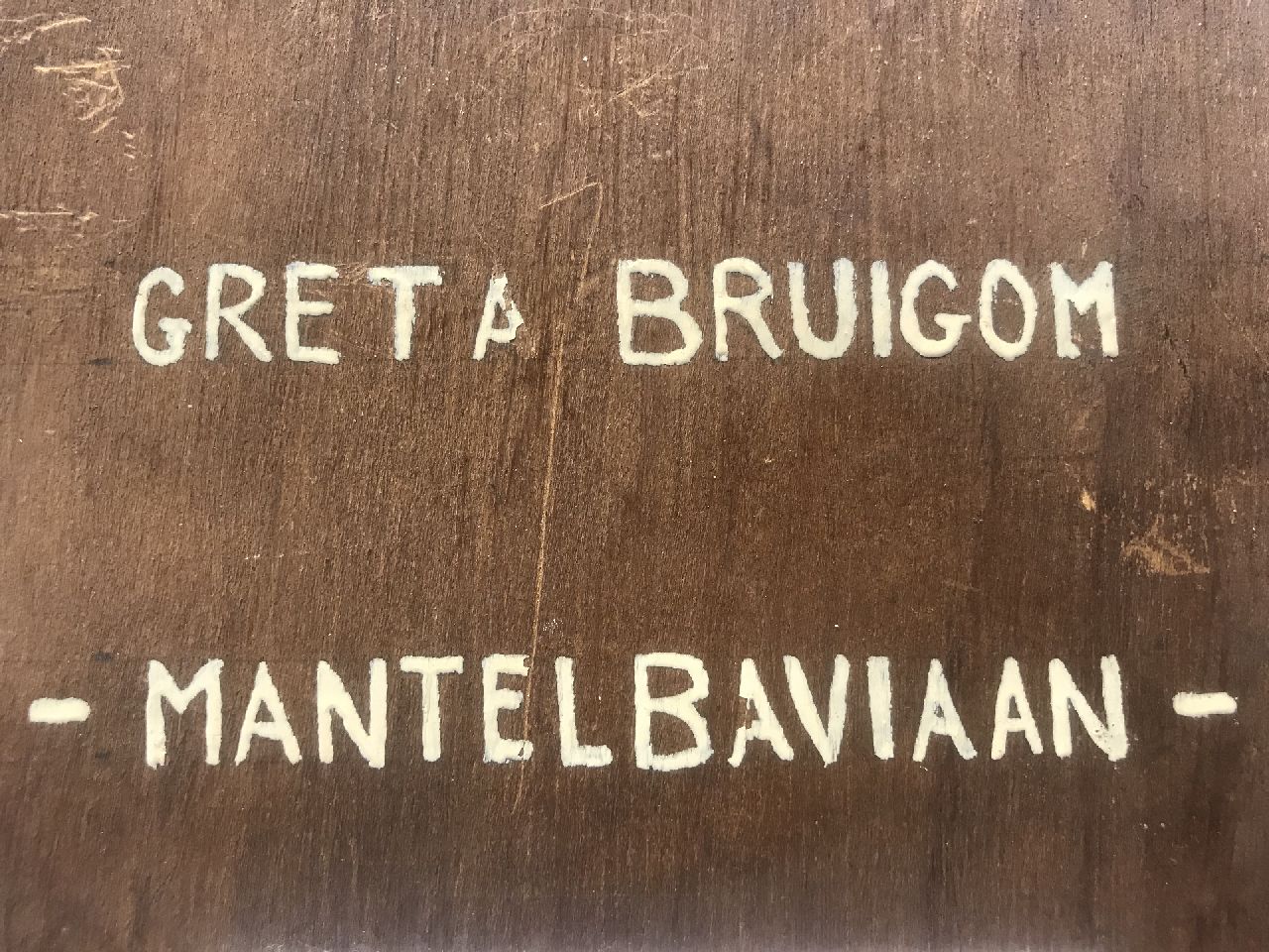 Greta Bruigom signatures Mantle baboon