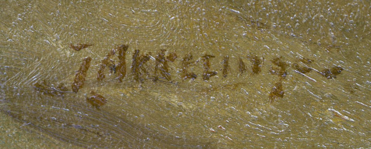 Johannes Evert Akkeringa signatures Petunias