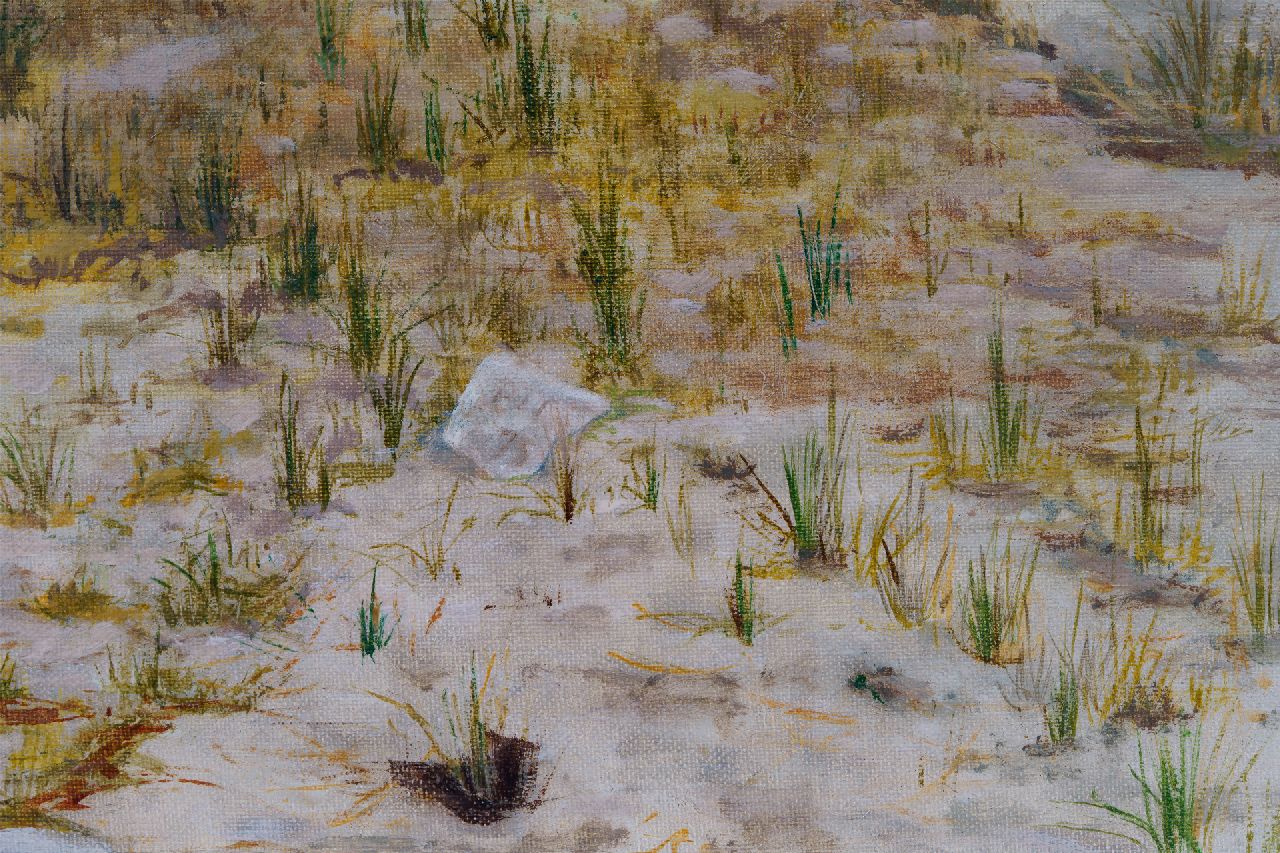 Pit van Loo signatures Still life in the dunes (Terschelling)