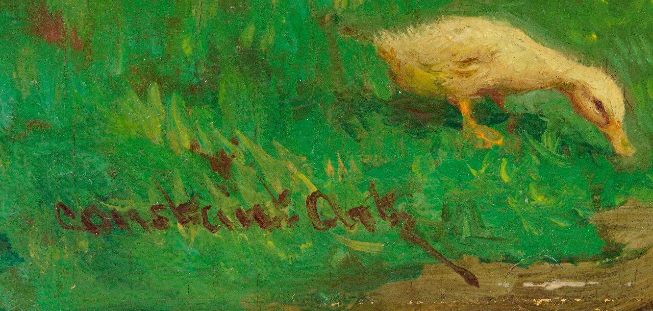Constant Artz signatures Ducks and ducklings by a ditch