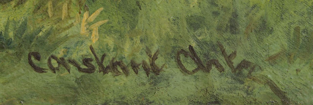 Constant Artz signatures Duck family in a polder landscape
