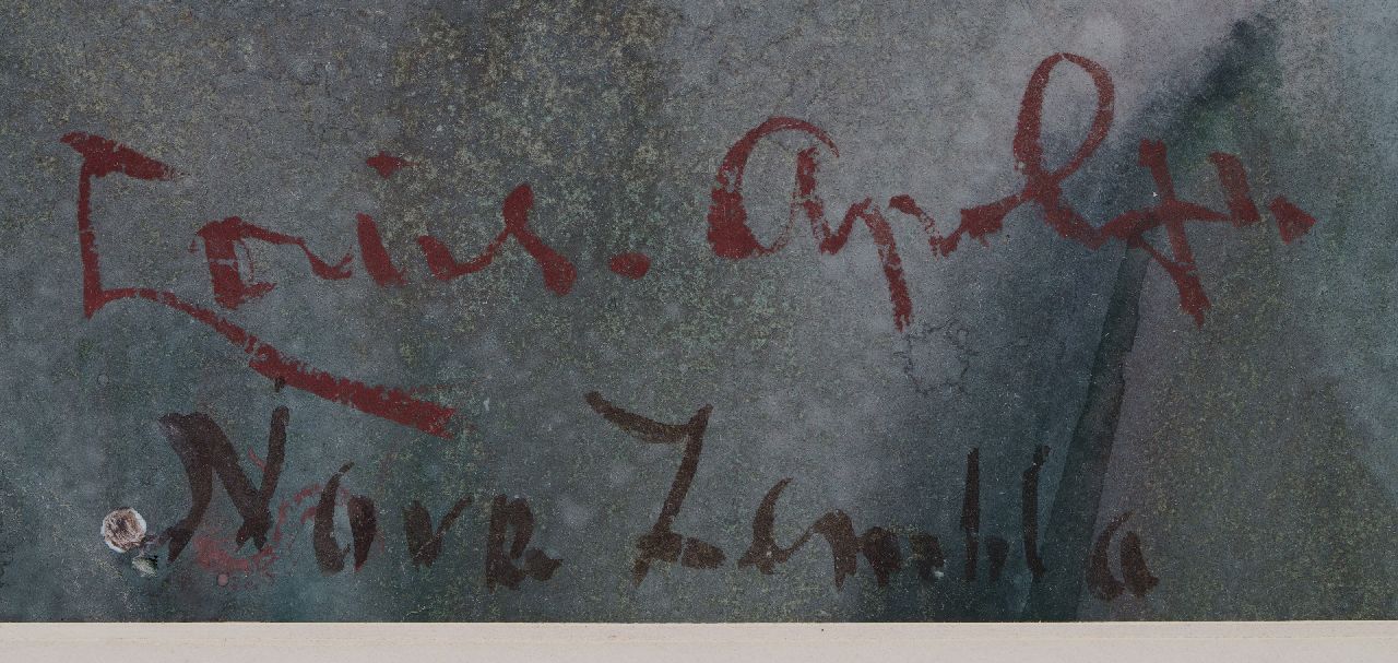 Louis Apol signatures At Nova Zembla