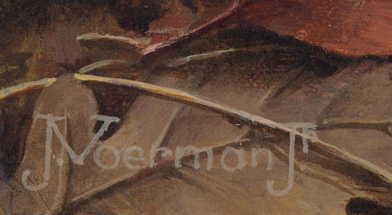 Jan Voerman jr. signatures Fly agaric mushrooms