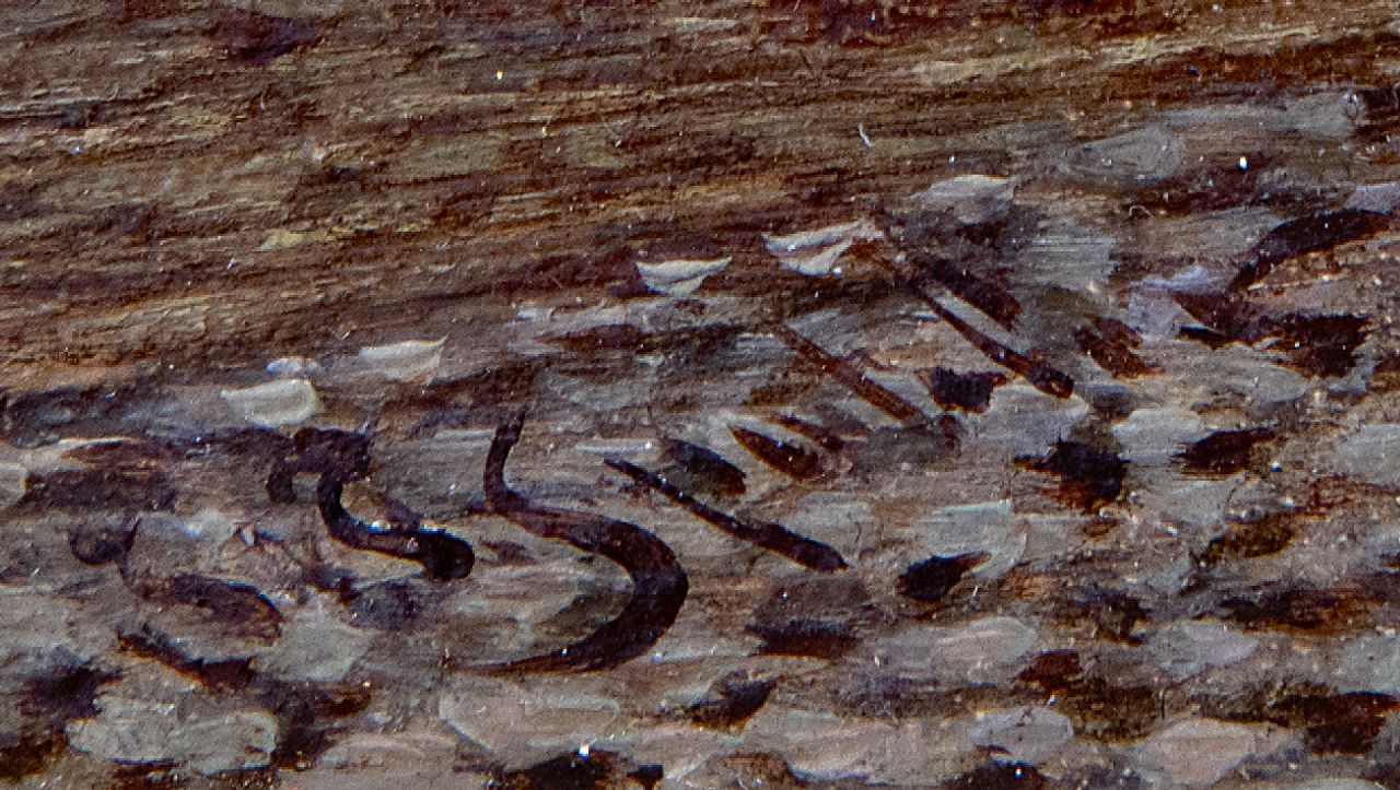 Johannes Franciscus Spohler signatures Town view in summer with the tower of the Bakenesserkerk of Haarlem