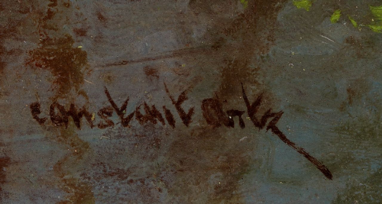 Constant Artz signatures First swim