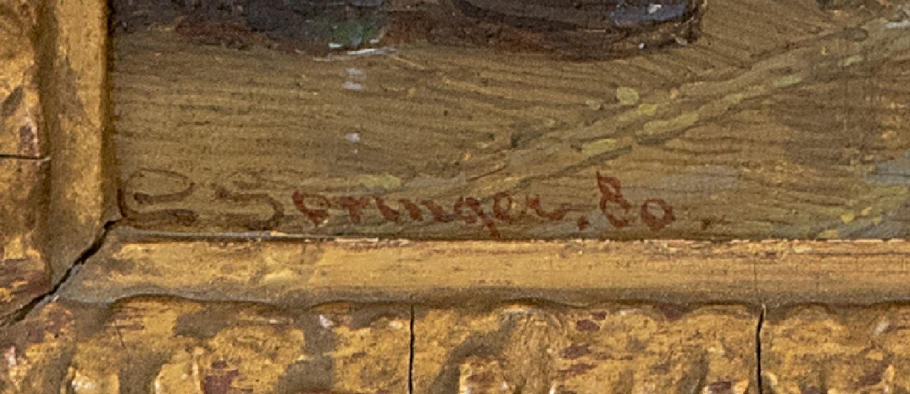 Cornelis Springer signatures Street in Oudewater in rainy weather