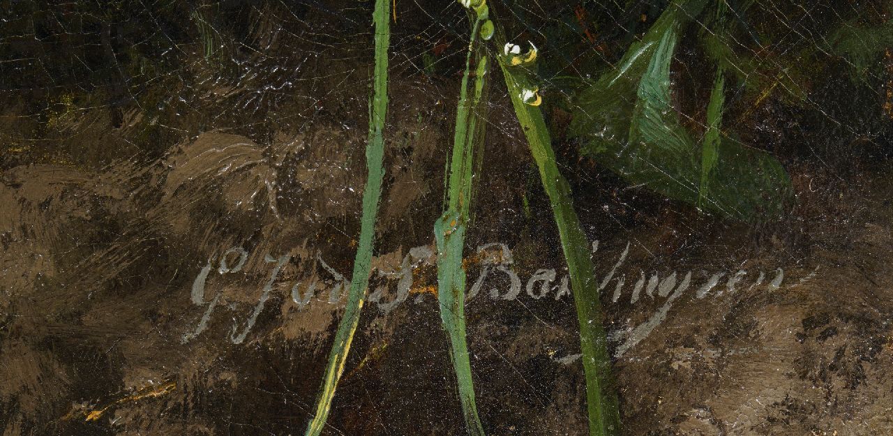 Gerardine van de Sande Bakhuyzen signatures Primulas, phloxes, and asters on the forest floor