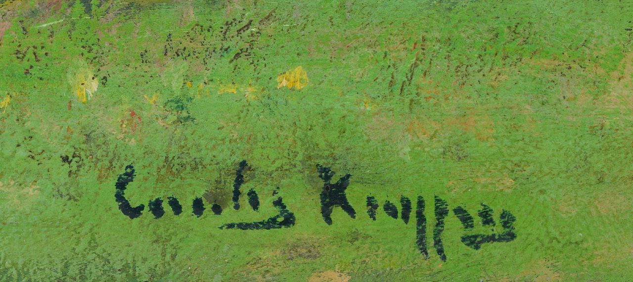 Cornelis Kuijpers signatures Washland along the river Rhine