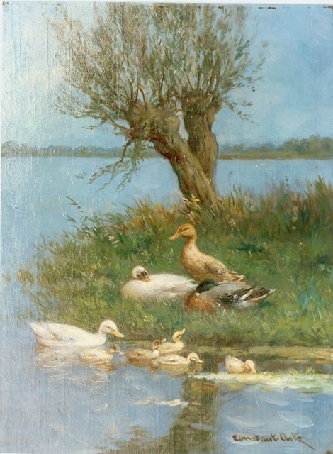 Constant Artz | Ducks and ducklings, oil on panel, 24.0 x 18.0 cm, signed l.r.