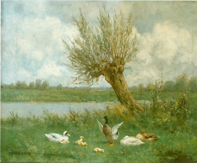 Artz C.D.L.  | Ducks on the riverbank, oil on canvas 40.0 x 50.3 cm, signed l.l.