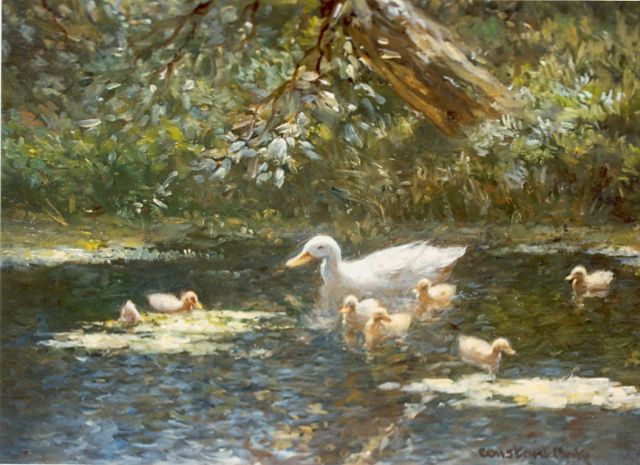 Constant Artz | Duck with ducklings in a pond, oil on panel, 18.0 x 24.0 cm, signed l.r.