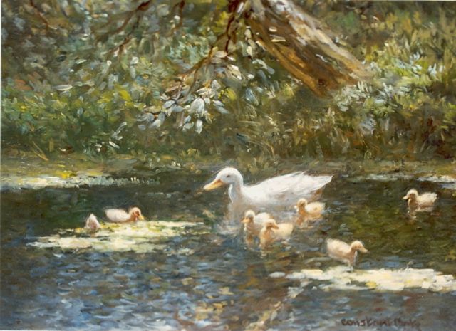 Artz C.D.L.  | Duck with ducklings in a pond, oil on panel 18.0 x 24.0 cm, signed l.r.