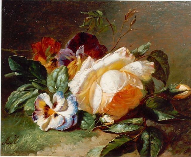 Haanen A.J.  | White rose and violets, oil on panel 19.6 x 24.7 cm, signed l.l.