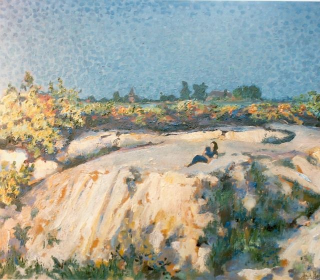 Hamel J.G.  | A heath landscape, oil on board 49.8 x 59.7 cm, signed l.r.