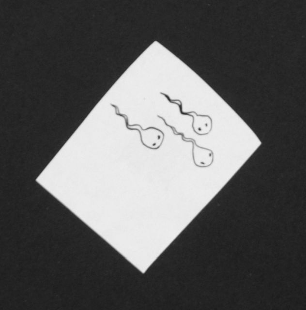 Prinses Beatrix van Oranje Nassau | Three tadpoles, pencil and black ink on paper, 5.2 x 4.1 cm, executed August 1960