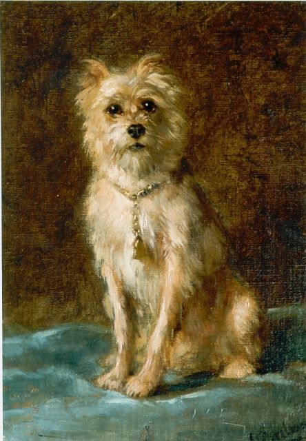 Eerelman O.  | Schnautzer, oil on canvas 31.0 x 21.8 cm, signed l.r.