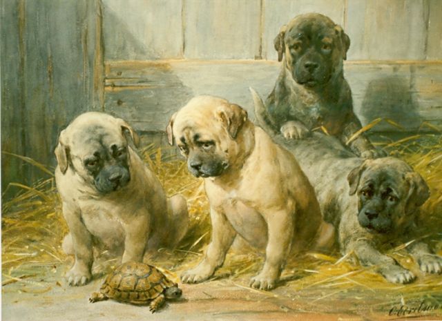 Eerelman O.  | Puppies with a turtle, watercolour on paper, signed l.l.