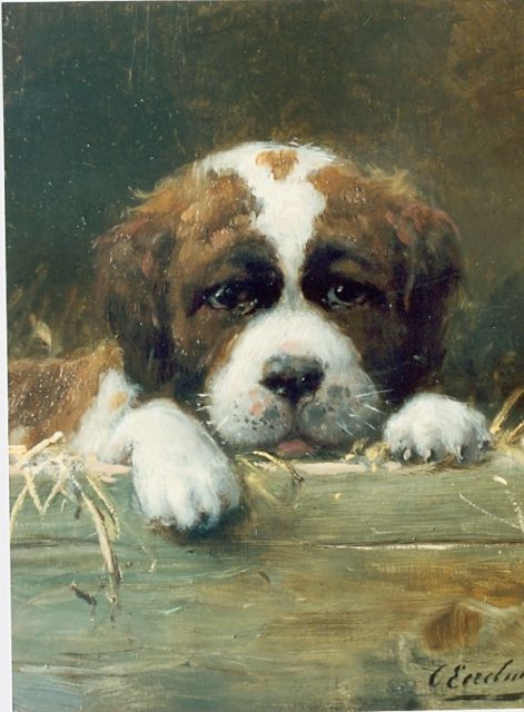 Eerelman O.  | St. Bernhard puppie in a box, oil on panel 27.0 x 21.7 cm, signed l.r.