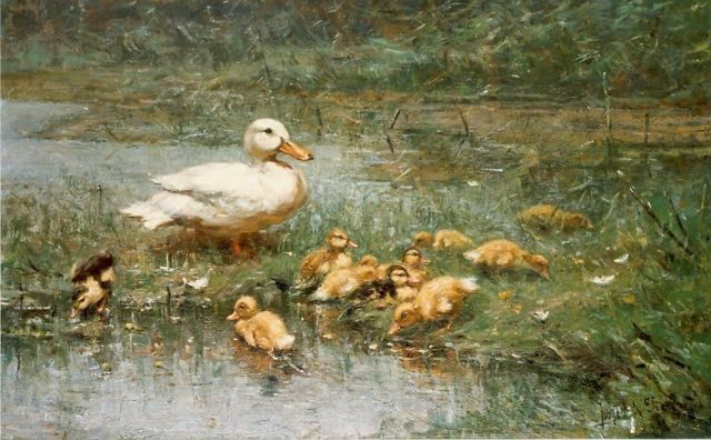 Hulk jr. J.F.  | A duck with ducklings, oil on canvas 60.3 x 96.4 cm, signed l.r.