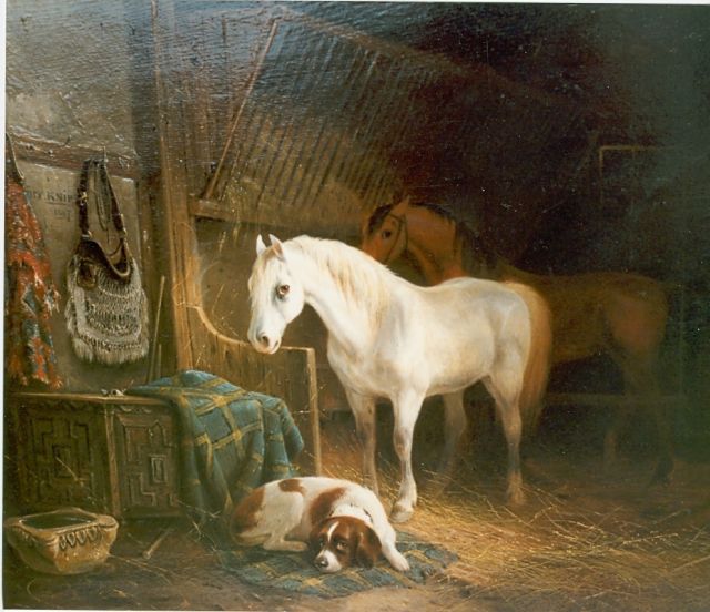 Knip A.  | Stable mates, oil on panel 34.7 x 40.5 cm, signed u.l.