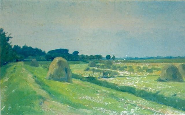 Cor Noltee | Meadow, oil on canvas