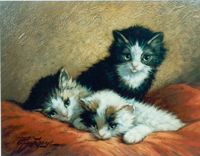 Cornelis Raaphorst | Three kittens, oil on panel, 18.4 x 24.4 cm, signed l.l.