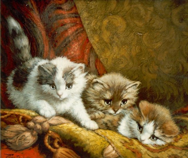 Cornelis Raaphorst | Three kittens, oil on canvas, 24.3 x 30.3 cm, signed l.l.