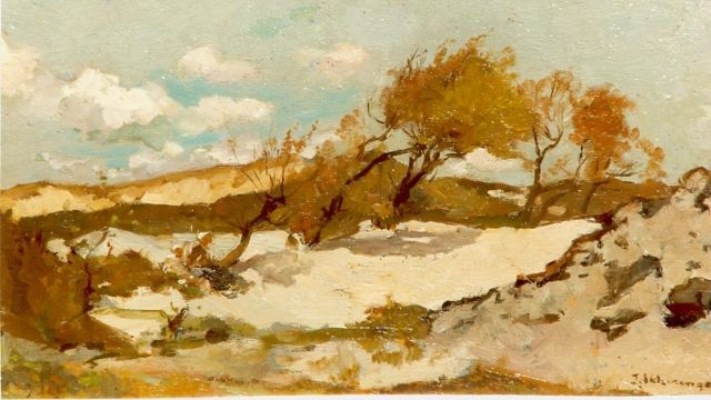 Johannes Evert Akkeringa | Behind the dunes, oil on canvas, 13.0 x 20.0 cm, signed l.r.