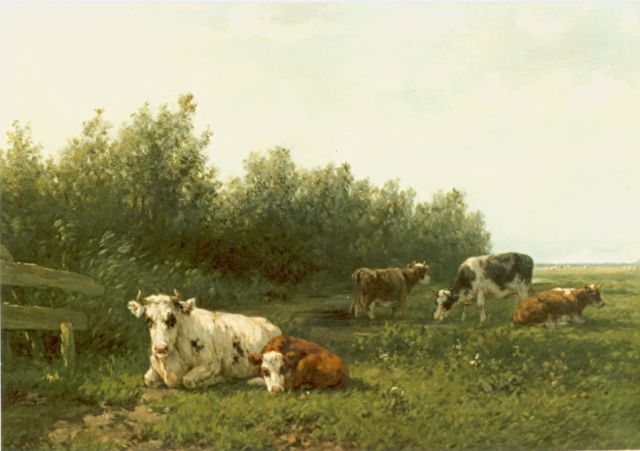 Vester W.  | Cows in a meadow, oil on canvas 44.2 x 70.2 cm, signed l.l.