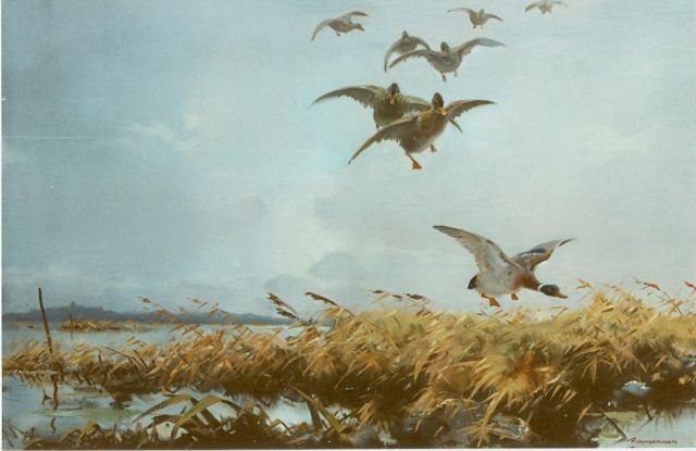 Piet van der Hem | Flying ducks, oil on canvas, 65.5 x 96.3 cm, signed l.r.