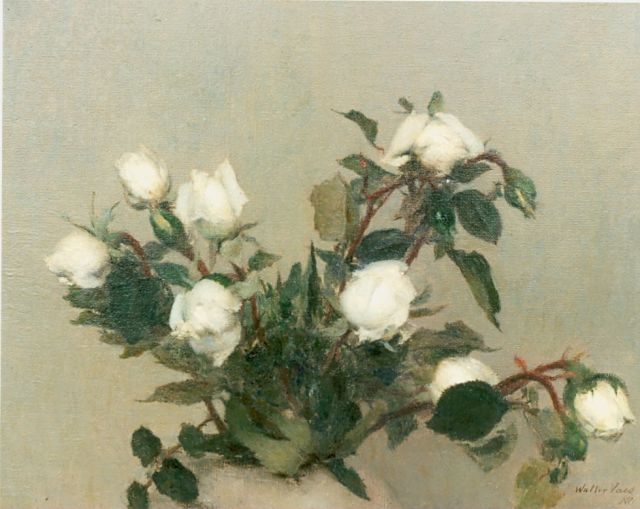 Walter Vaes | White roses, oil on canvas, 31.0 x 40.0 cm, signed l.r.