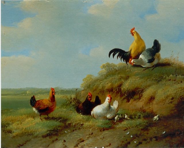Albertus Verhoesen | Chickens and rooster, oil on panel, 14.0 x 13.6 cm, signed l.r.