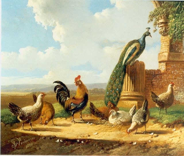 Verhoesen A.  | Poultry on a yard, oil on canvas 13.6 x 17.0 cm, signed l.l.