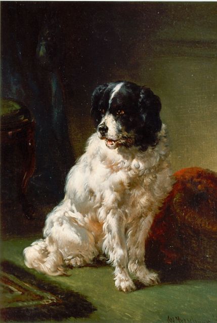 Wouterus Verschuur | The painter's dog, oil on panel, 20.0 x 15.0 cm, signed l.r.