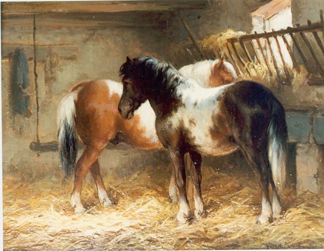 Verschuur jr. W.  | Horses in a stable, oil on panel 15.0 x 20.0 cm, signed l.r.