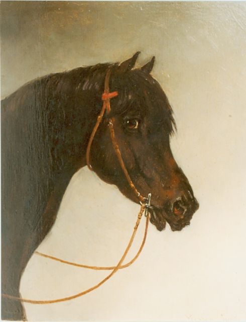 Verschuur jr. W.  | A horse, oil on panel 23.5 x 19.5 cm, signed l.r.