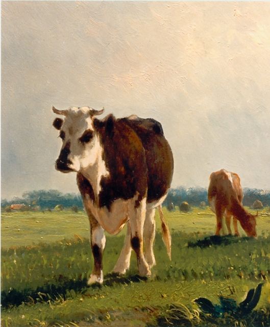 Westerbeek C.  | Cows in a meadow, oil on panel 29.6 x 25.2 cm, signed l.r.