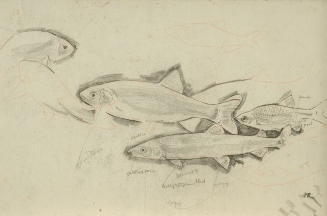 Dijsselhof G.W.  | Study of trouts, black chalk on paper 26.5 x 40.1 cm