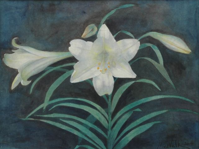 Valk M.W. van der | White lilly, pencil and watercolour on paper 27.9 x 36.8 cm, signed l.r. and painted '30