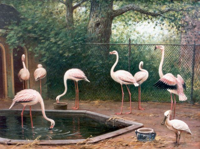 Marinus Adrianus Koekkoek II | Flamingos, oil on canvas, 51.0 x 64.3 cm, signed l.r. and dated 1909