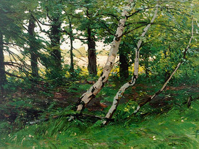 Bodifée J.P.P.  | A forest landscape, oil on canvas 38.2 x 50.5 cm, signed l.r.
